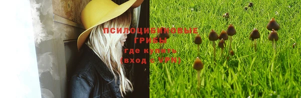 дмт Белоозёрский